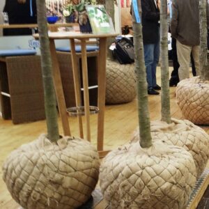 Plantkorg för plantskolebruk