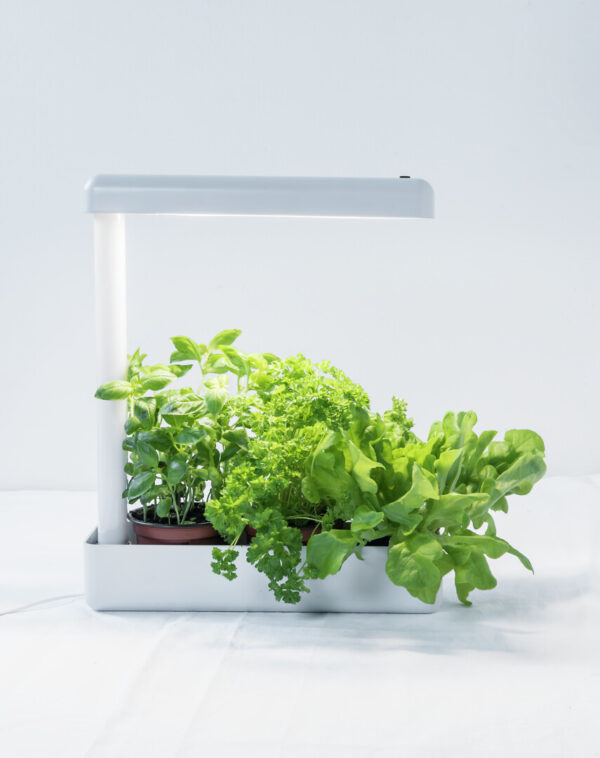 AIRAM Herby Plant 10W